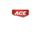 Picture for brand ACE
