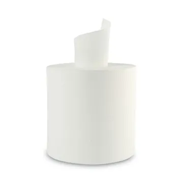 Center-Pull Roll Towels, 2-Ply, 10"W, 600/Roll, 6/Carton