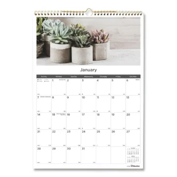 12-Month Wall Calendar, 12 x 17, Succulent Plants, 2021