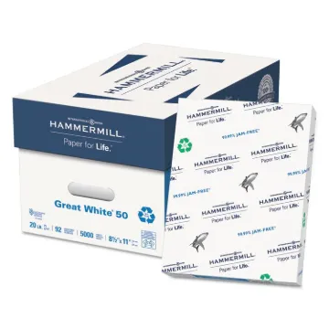 Great White 50 Recycled Print Paper, 92 Bright, 20lb, 8.5 x 11, White, 500 Sheets/Ream, 10 Reams/Car