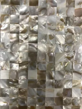 (5540)51N Shell Mosaic Natural, Select 2, 300 x 300mm