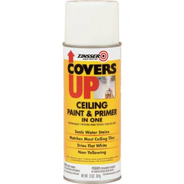 ZINSSER 03688 Ceiling Paint and Primer, White, Flat, 13 oz