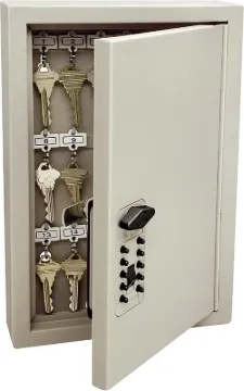 Kidde Access Point 001795 Key Cabinet, Steel, Clay, 8.11 in W, 12.04 in H, 3.19 in D