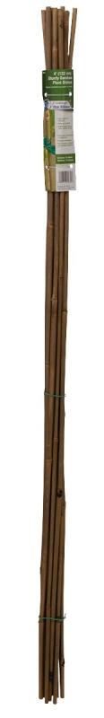Gardener's Blue Ribbon BB4 Plant Stake, 4 ft L, Bamboo, Natural Bamboo ...