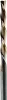 D032-00410.jpg
