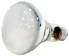 S164-15160.jpg