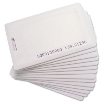 A018-13006-9829.JPG