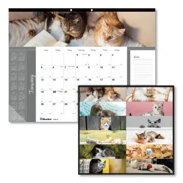Pets Collection Monthly Desk Pad, 22 x 17, Furry Kittens, 2021