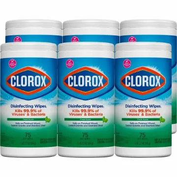 Clorox Bleach-Free Scented Disinfecting Wipes
