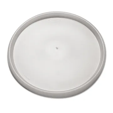 Plastic Lids for Foam Containers, Flat, Vented, Fits 24-32 oz, Translucent, 500/Carton