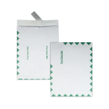 Ship-Lite Envelope, #13 1/2, Cheese Blade Flap, Redi-Strip Closure, 10 x 13, White, 100/Box