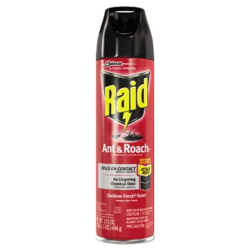 Raid Ant/Roach Killer Spray
