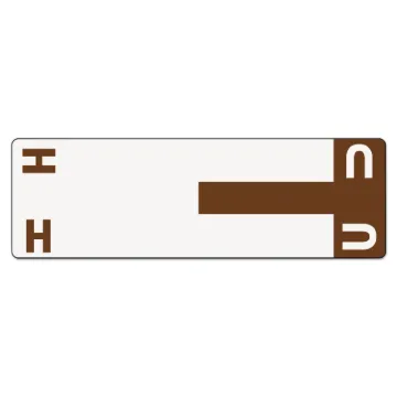 AlphaZ Color-Coded First Letter Combo Alpha Labels, H/U, 1.16 x 3.63, Dark Brown/White, 5/Sheet, 20