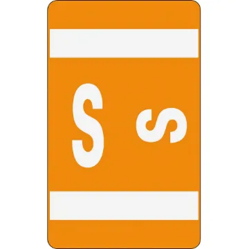 AlphaZ Color-Coded Second Letter Alphabetical Labels, S, 1 x 1.63, Orange, 10/Sheet, 10 Sheets/Pack