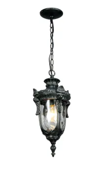Outdoor Pendant Light, Antique Bronze Chapagne Water Glass, 8.5" x 8.5" x 18"