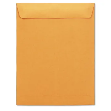 Catalog Envelope, #13 1/2, Square Flap, Gummed Closure, 10 x 13, Brown Kraft, 250/Box