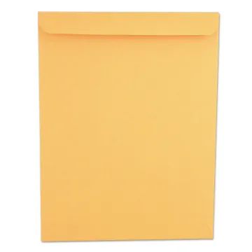 Catalog Envelope, #13 1/2, Squ Flap, Gummed Closure, 10 x 13, Brown Kraft, 250/Box
