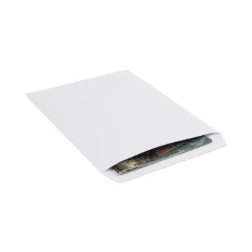 Catalog Envelope, #13 1/2, Square Flap, Gummed Closure, 10 x 13, White, 250/Box