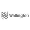 Picture for brand Wellington