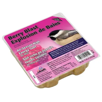 HEATH DD-15 All-Season Suet Cake, Berry Flavor, 11.25 oz Package