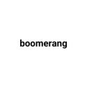 Picture for brand boomerang