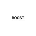 Picture for brand BOOST