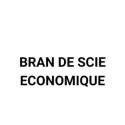 Picture for brand BRAN DE SCIE ECONOMIQUE