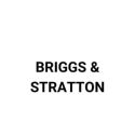 Picture for brand BRIGGS & STRATTON