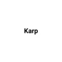 Picture for brand Kar`s