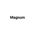 Picture for brand Magnum
