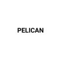 Picture for brand PELICAN