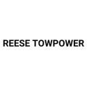 Picture for brand REESE TOWPOWER