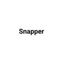 Picture for brand Snapper