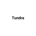Picture for brand Tundra