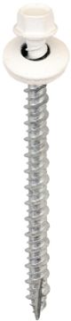 2614188.jpg