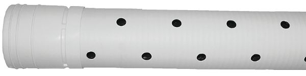 2590644.jpg