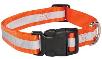 GUARDIAN GEAR ZA984 14 69 Reflective Dog Collar, Buckle Link, 14 to 20 in L Collar, 5/8 in W Collar,