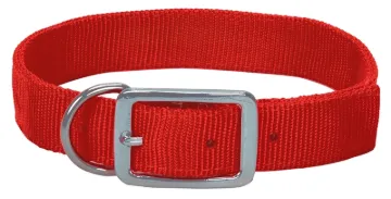 GUARDIAN GEAR 2052324 Hunting Collar, 24 in L Collar, 1 in W Collar, Nylon, Orange