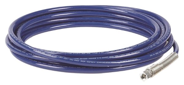 3704160.jpg