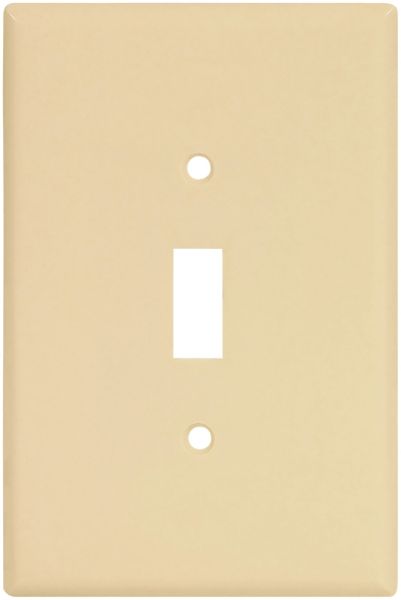 4877338.jpg