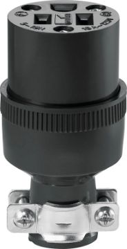 4858031.jpg