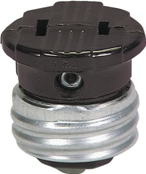4169900.jpg