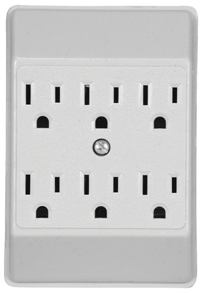 4541397.jpg