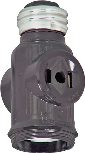 4561601.jpg