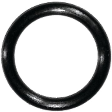 4753596.jpg