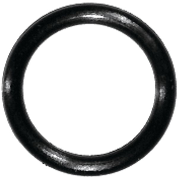 4753596.jpg