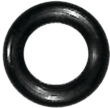3931979.jpg