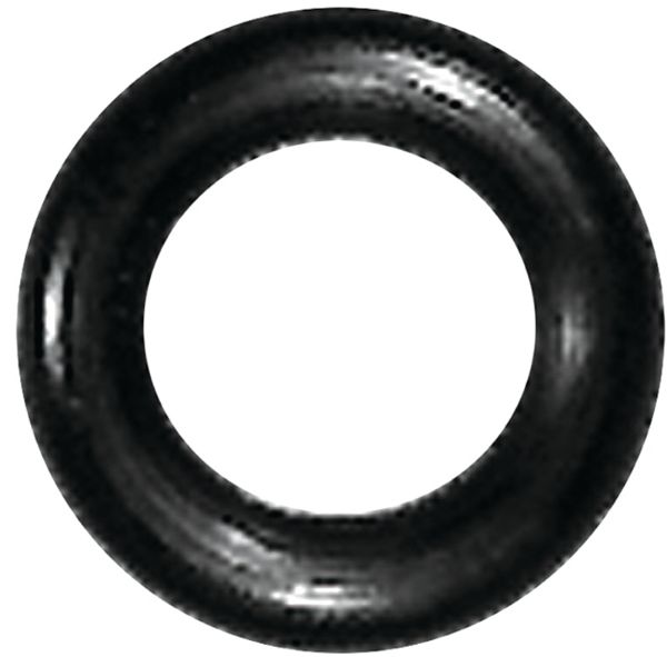 3931979.jpg
