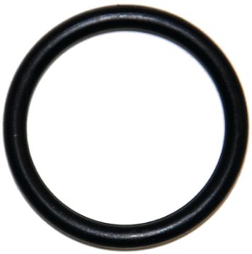 4947974.jpg