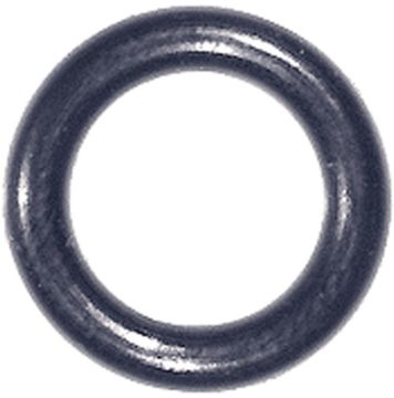 4506861.jpg